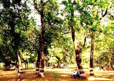 Ryewood Park